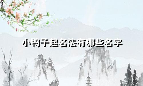 小鸭子起名法有哪些名字