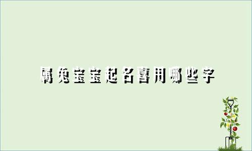属兔宝宝起名喜用哪些字