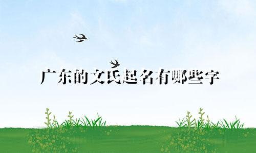 广东的文氏起名有哪些字