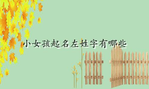 小女孩起名左姓字有哪些
