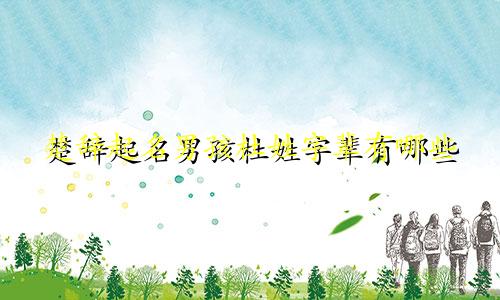 楚辞起名男孩杜姓字辈有哪些