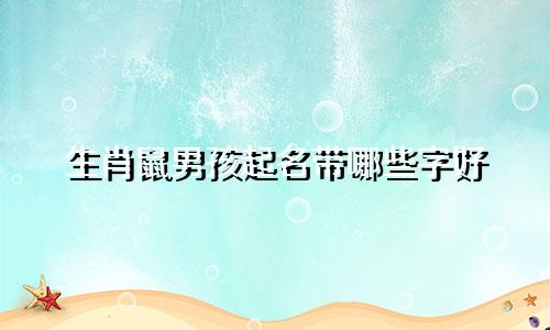生肖鼠男孩起名带哪些字好