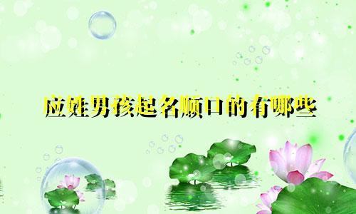 应姓男孩起名顺口的有哪些