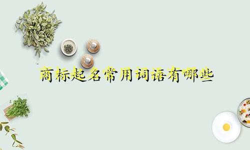 商标起名常用词语有哪些
