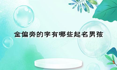 金偏旁的字有哪些起名男孩