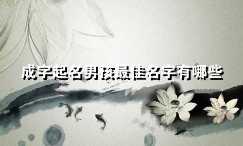 成字起名男孩最佳名字有哪些