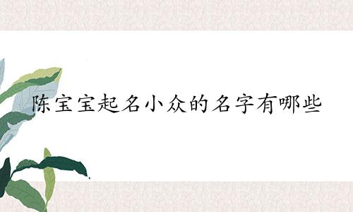陈宝宝起名小众的名字有哪些