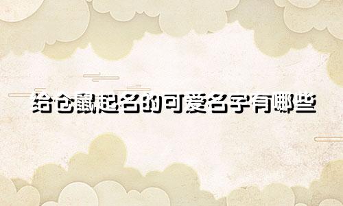 给仓鼠起名的可爱名字有哪些