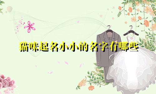 猫咪起名小小的名字有哪些