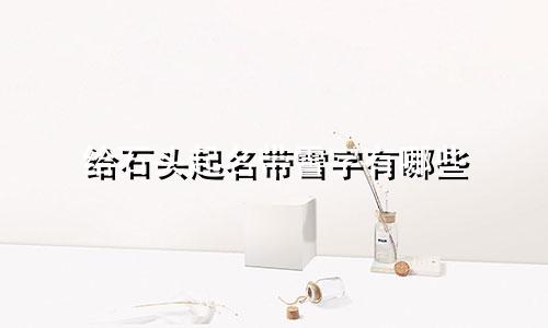 给石头起名带雪字有哪些