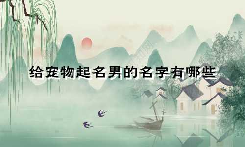 给宠物起名男的名字有哪些