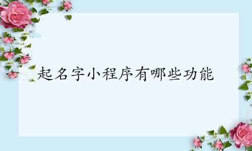 起名字小程序有哪些功能