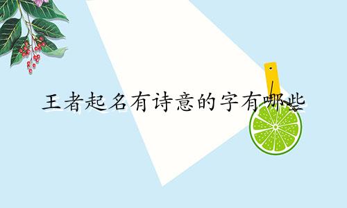 王者起名有诗意的字有哪些