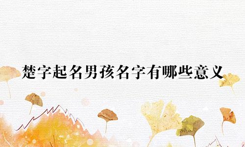 楚字起名男孩名字有哪些意义