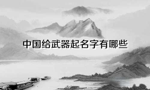 中国给武器起名字有哪些