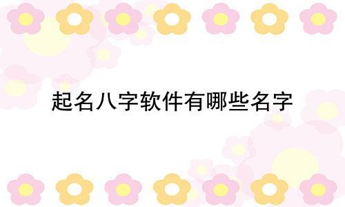 起名八字软件有哪些名字