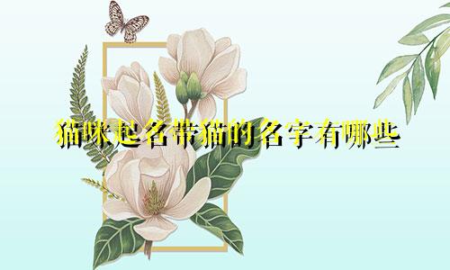猫咪起名带猫的名字有哪些
