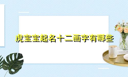 虎宝宝起名十二画字有哪些