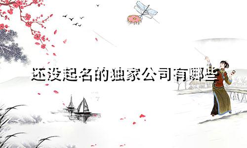 还没起名的独家公司有哪些