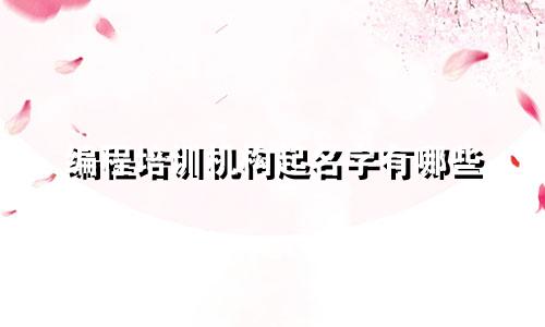 编程培训机构起名字有哪些