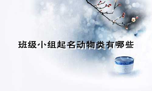 班级小组起名动物类有哪些