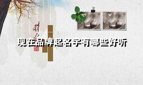 现在品牌起名字有哪些好听