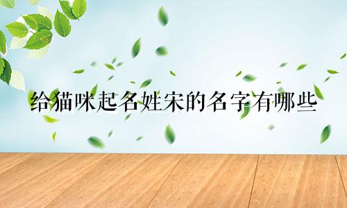 给猫咪起名姓宋的名字有哪些