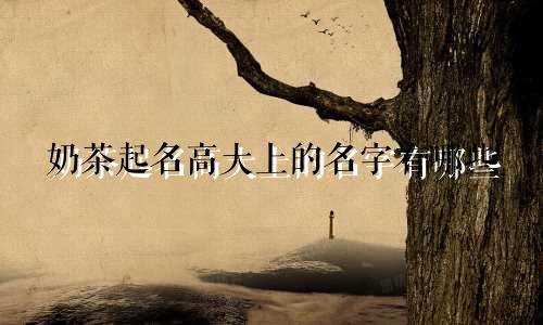 奶茶起名高大上的名字有哪些
