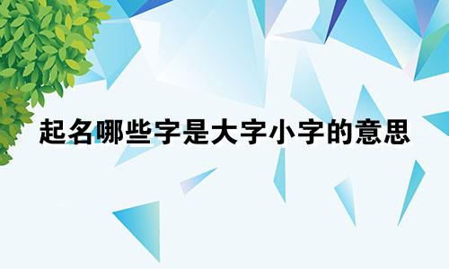 起名哪些字是大字小字的意思