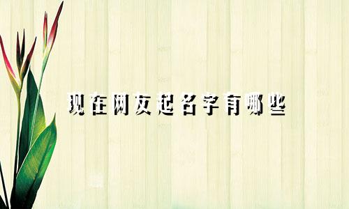 现在网友起名字有哪些