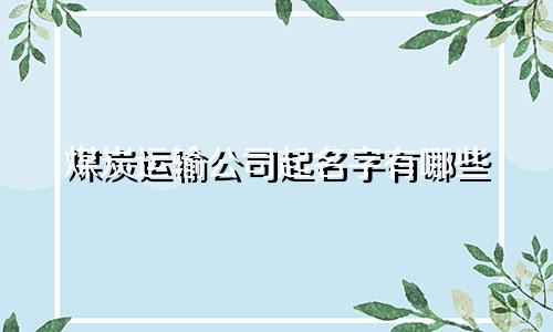 ai店铺起名的命令有哪些