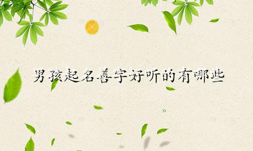 男孩起名善字好听的有哪些