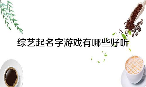综艺起名字游戏有哪些好听