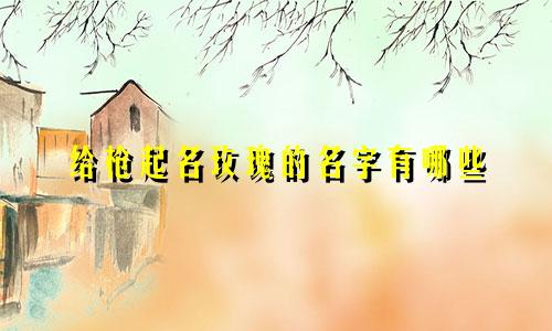 给枪起名玫瑰的名字有哪些