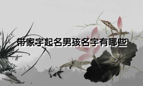 带家字起名男孩名字有哪些