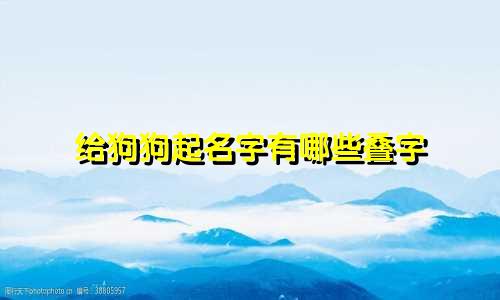 给狗狗起名字有哪些叠字