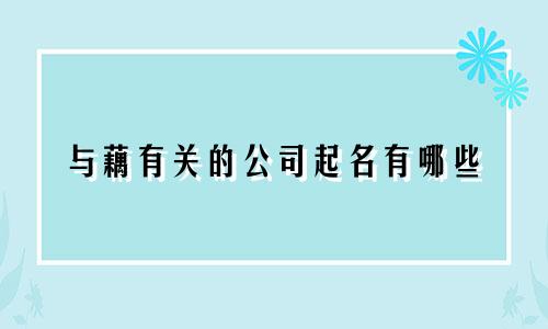 与藕有关的公司起名有哪些