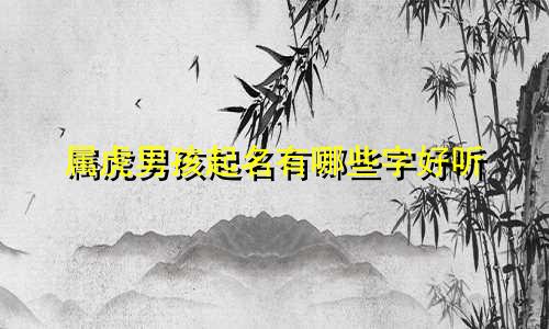 属虎男孩起名有哪些字好听