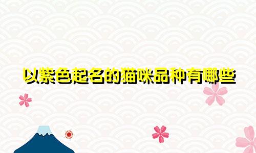以紫色起名的猫咪品种有哪些