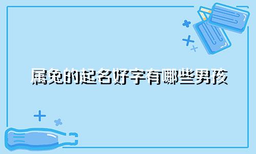 属兔的起名好字有哪些男孩