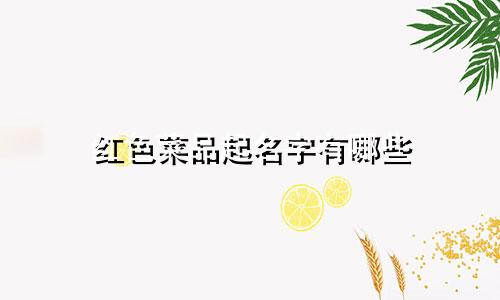 红色菜品起名字有哪些