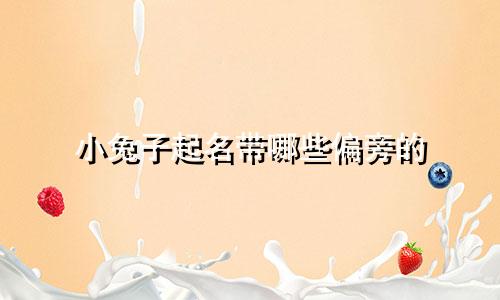 小兔子起名带哪些偏旁的