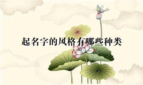 起名字的风格有哪些种类
