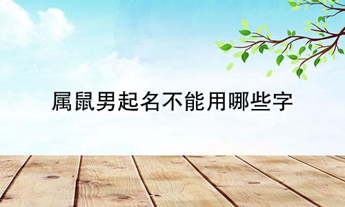 属鼠男起名不能用哪些字