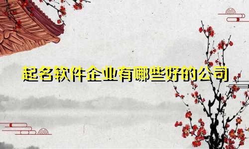 起名软件企业有哪些好的公司