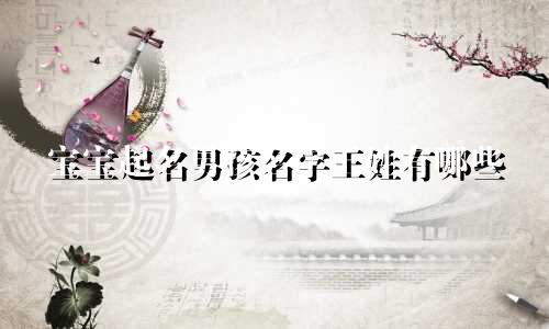 宝宝起名男孩名字王姓有哪些