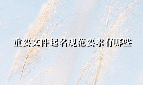 重要文件起名规范要求有哪些