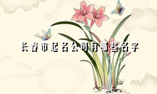 长春市起名公司有哪些名字