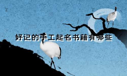 好记的手工起名书籍有哪些
