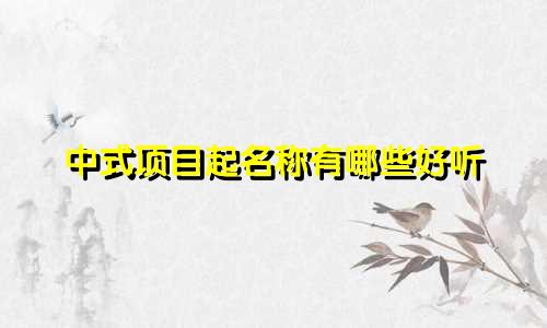中式项目起名称有哪些好听